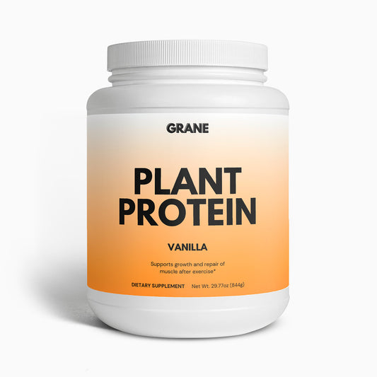 Plant Protein (Vanilla)