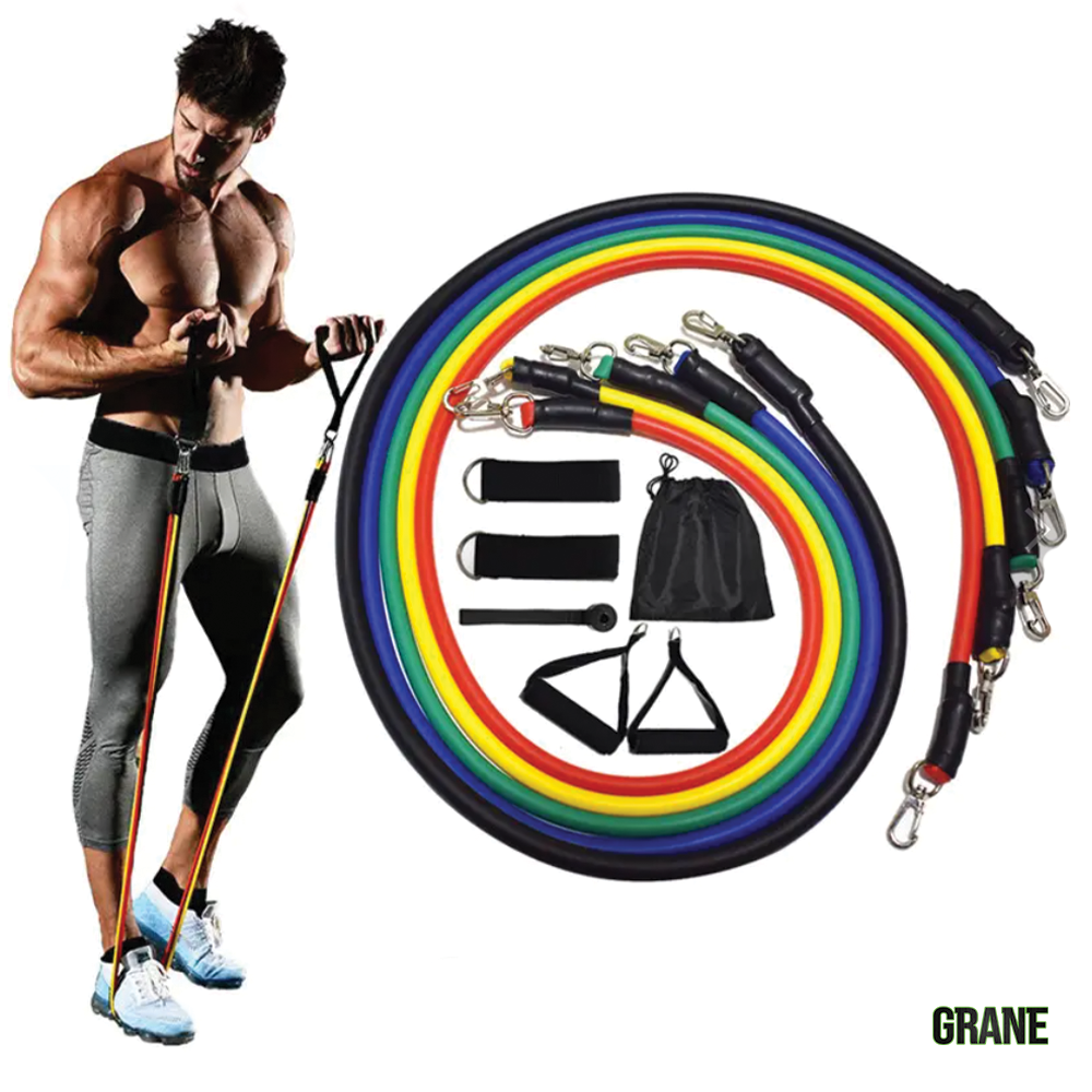 Resistance Bands Premium Multi-Level Set w/ 20+ Workouts To Build Muscle by Grane Global